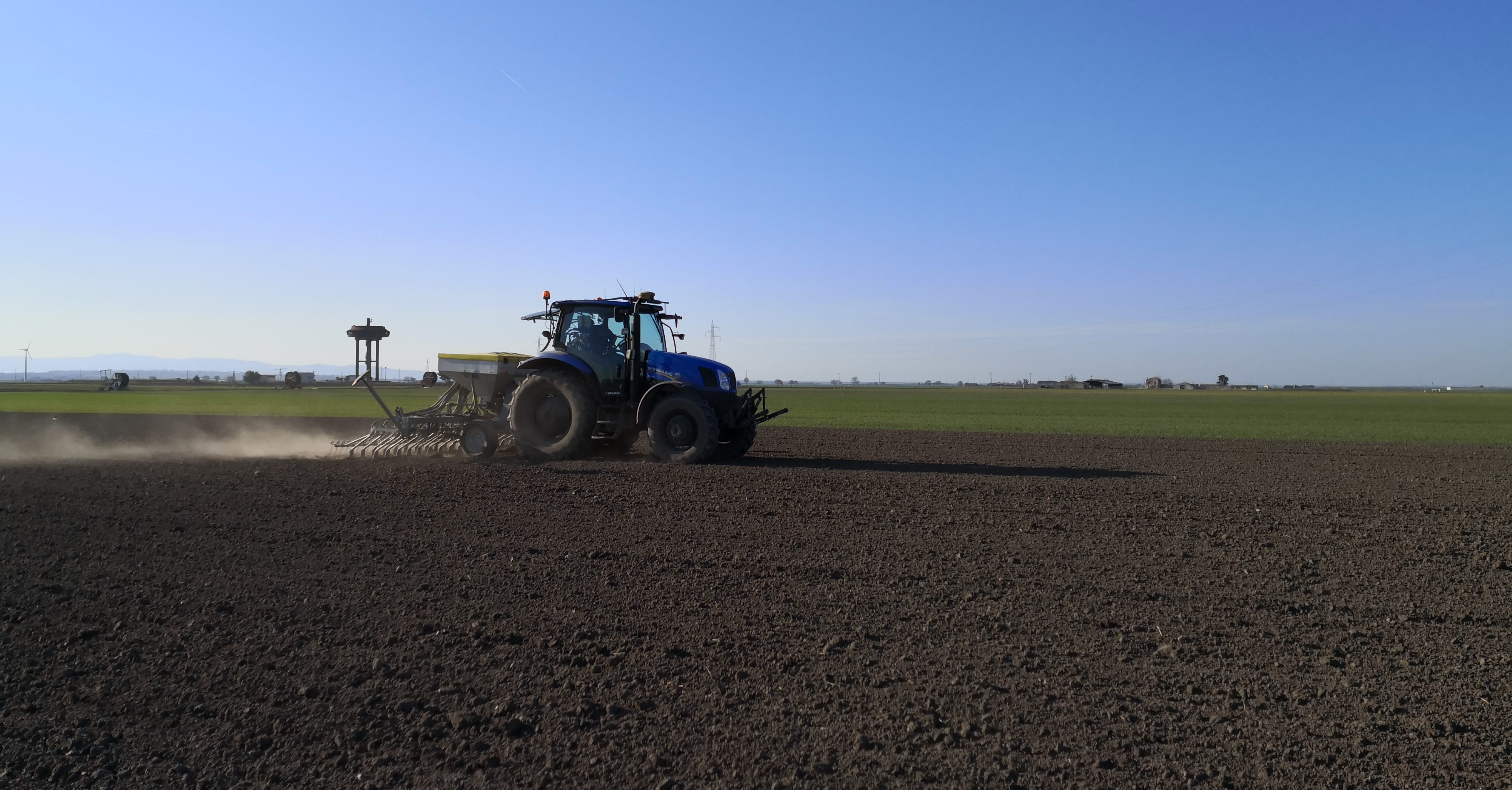 Semina della lenticchia (ECS) nel sito dimostrativo di Foggia a febbraio 2020 e successiva rullatura del terreno per ottenere una migliore germinazione