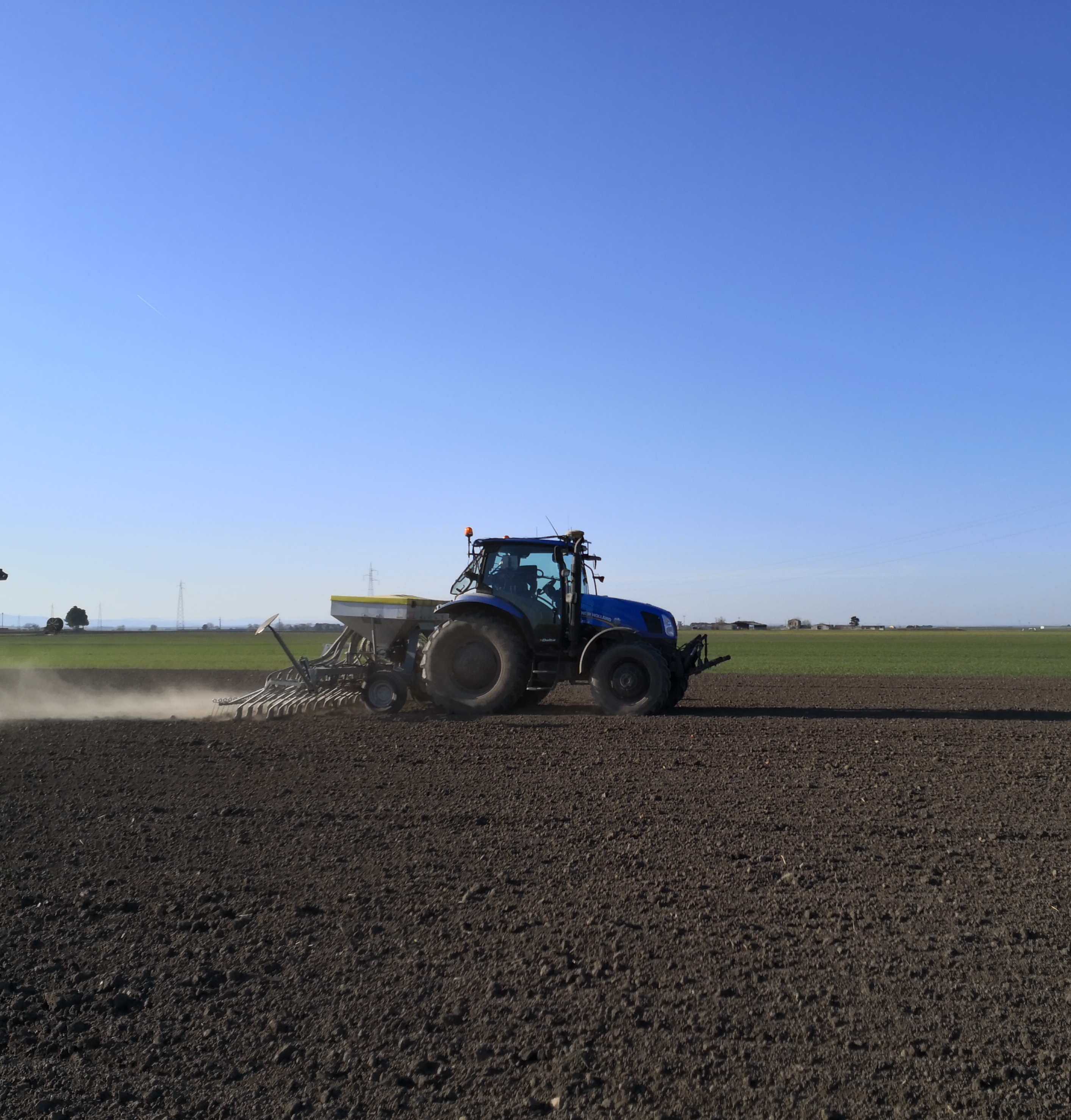 Semina della lenticchia (ECS) nel sito dimostrativo di Foggia a febbraio 2020 e successiva rullatura del terreno per ottenere una migliore germinazione